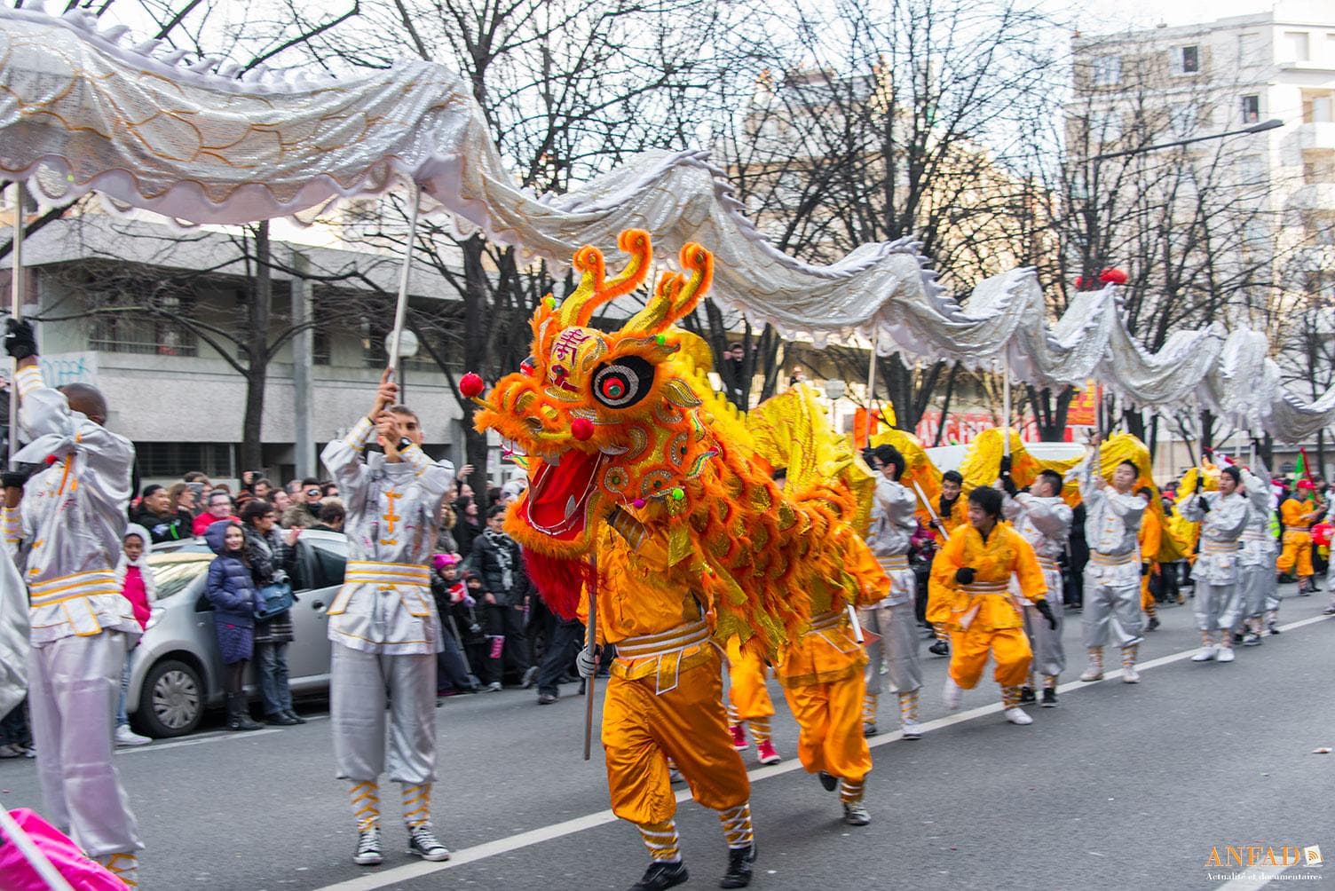 Nouvel an chinois 2013 - Un dragon aux couleurs de l'ANFAD