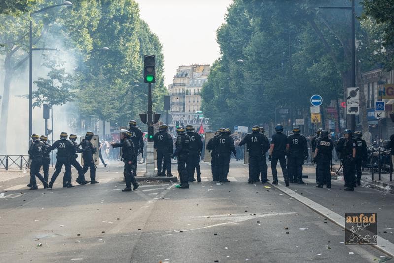 26 juillet 2014 - Deuxième manifestation pro-palestinienne à Paris (interdite)